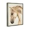 Stupell Industries Country Horse Farm Animal Portrait Black Framed Floater Canvas Wall Art